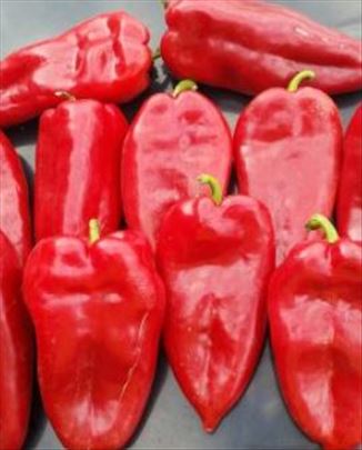 Seme paprike Ajvaruše