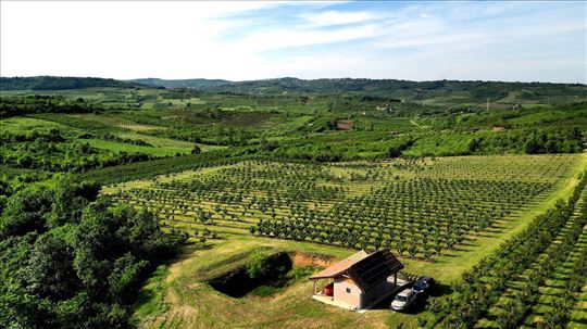 Imanje za uživanje sa voćnjakom, u lovištu, 30 min