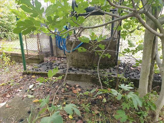 Kuća 104m2 na 299m2 placa, Donje Vlase