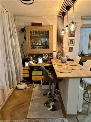 Prodaja renoviranog 2.5 stana, Ustanička, 56m2