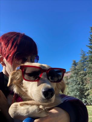 Zlata čeka svoje ljude