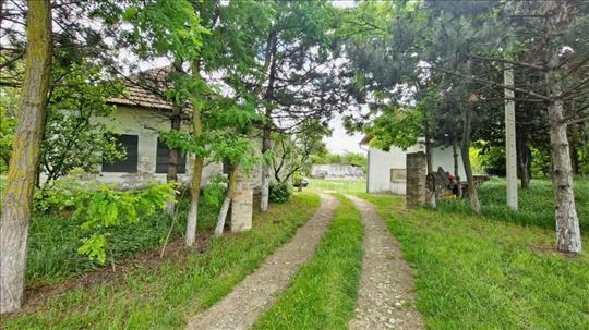 Na prodaju autentičan salaš u Stanišiću-idealan za