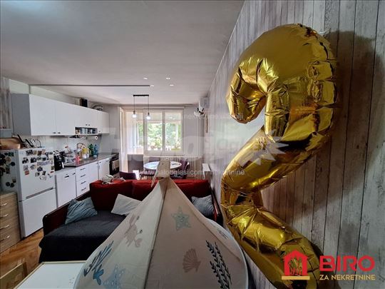 Novi Sad, Detelinara, Stan, 1.5, 46,00m2