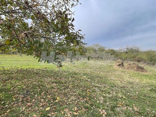 Smederevo, ul. Balkanska