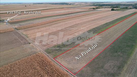 Irig, Neradin, 86 ara