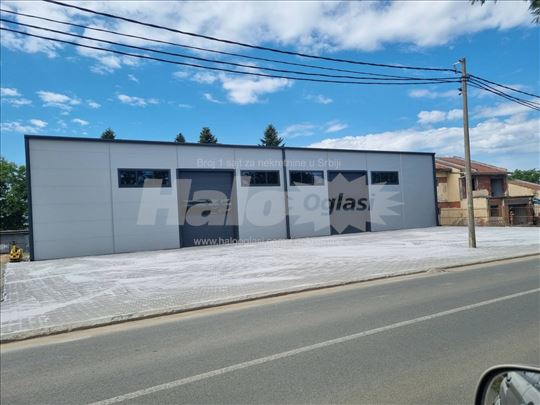 Izdajem halu (Medvedja-Trstenik)