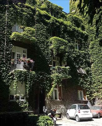 Izuzetan 3.0 salonski stan u srcu Vračara, Krunska