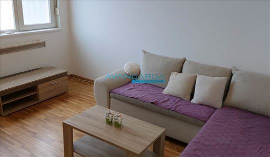 Jovanke Radaković ID#42709