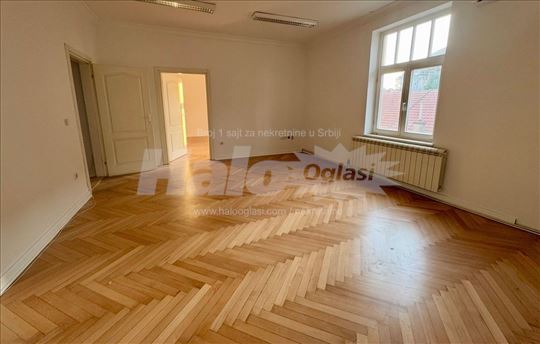 Renoviran stan, centar, super za poslovni prostor