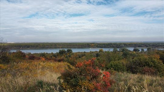 Slankamenački vinogradi, Građevinsko zemljište 287
