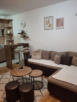 Prelep jednoiposoban stan,centar-Petra Drapšina 40