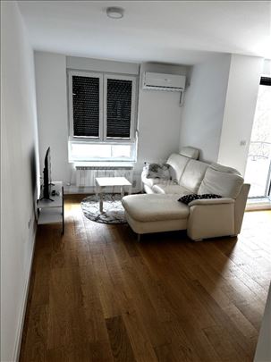 Izdajem dvosoban stan, Živojina Žujovića