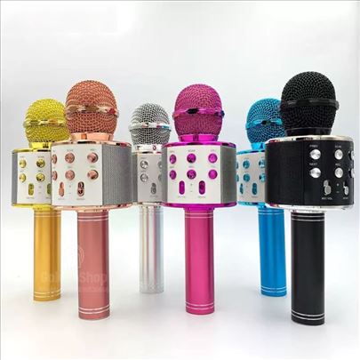 Mikrofon-Mikrofon karaoke Bluetooth mikrofon Karao