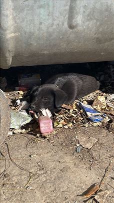 Njuk traži svoje ljude