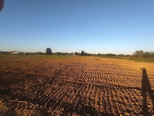 Plac na Savi, Boljevci