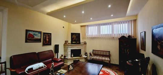 Poslovni prostor sa dvorištem i kaminom – Botaničk