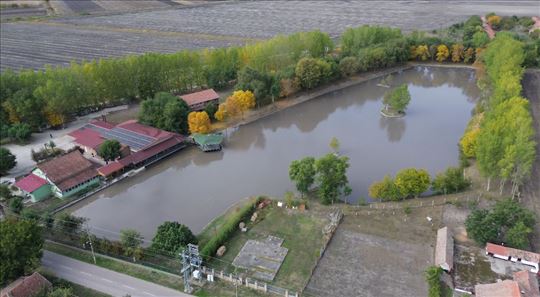 Broker - Jezero Baja – Biznis Na Vodi