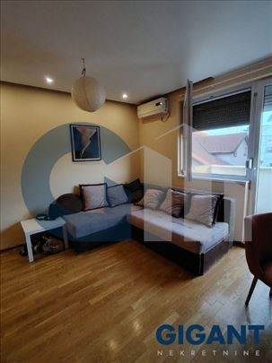 Krnjača, 40m2, IV, eg, uknj.