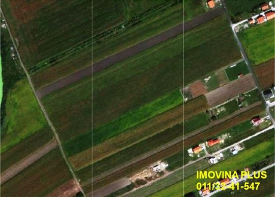 Palilula, Borča, plac, 10a