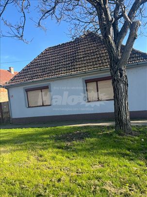 Prizemna kuća u Stajićevu