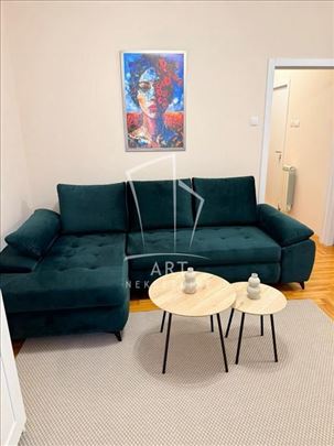 Renoviran, svetao, 1.0 stan ID#12713