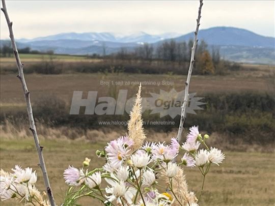 Parče raja od Kosmaja. Pogled,pogled,pogled