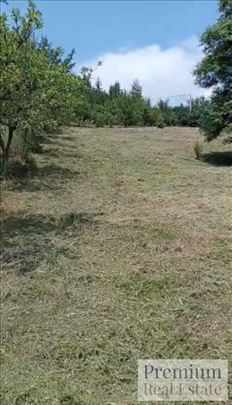 Plac na Tari,  27ari