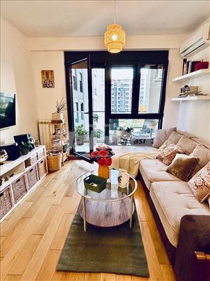 Moderan stan u Voždovim kapijama