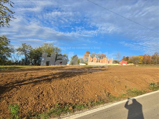 Rogača-Kosmaj ispod Djokovica