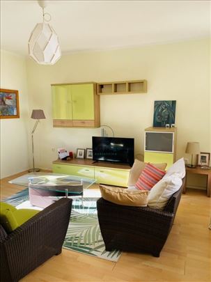 Vojvode Stepe, Kostolačka, 60 m2