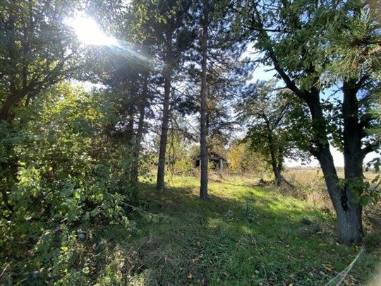 Plac 20a sa trošnom kućom - Zvečka, Obrenovac