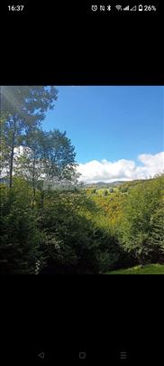 Plac Golija 2.1 ha, sa izvorom vode