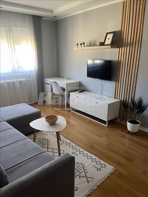 Stan na Dorcolu u Jevrejskoj