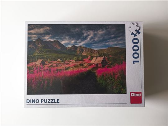 Dino, u CELOFANU, 66x47