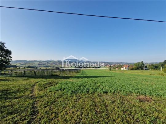 Gradjevinsko zemljište sa zasadom borovnice u Sopo