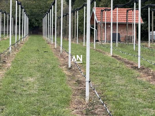 Inđija, Krčedin, građevinsko zemljište, zasad boro