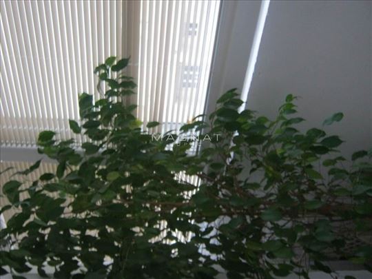 Lekino Brdo - odličan dvosoban stan ID#5177