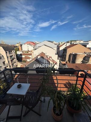 Palilula , Ljube Didica ID#2219