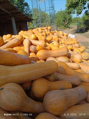 Bundeva,veće količine