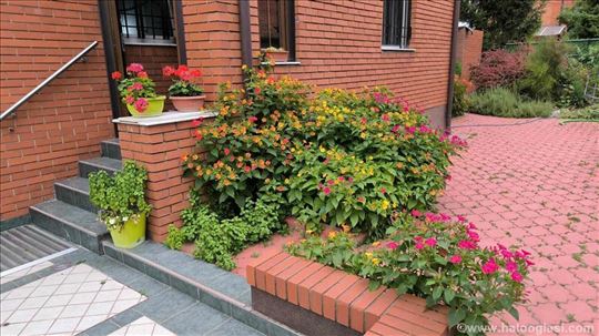 B.Kosa1 Kuća 220m2 sa garažom i dvorištem