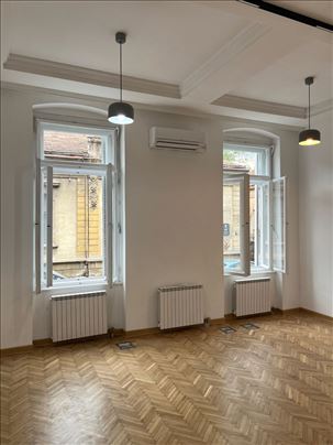 Salonski stan, odličan i za poslovni prostor - 2 u