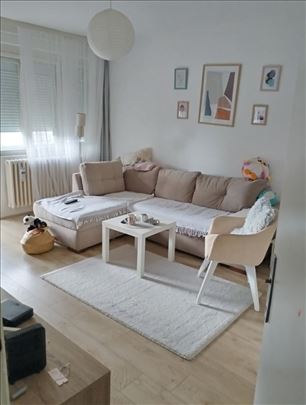 Dvosoban stan u Erdogliji