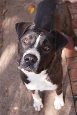 Moma - lep, veseo i sjajnog karaktera