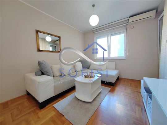 Novi Sad, Braće Ribnikar - Namešten jednoiposoban