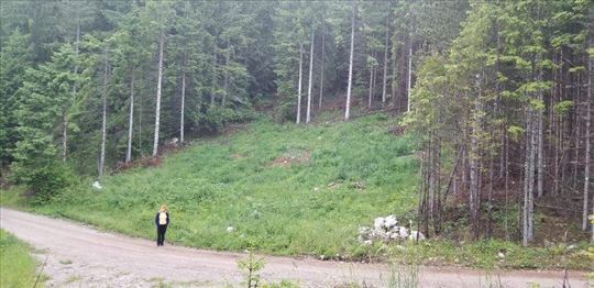 Plac 4,36 ari,Mitrovac na Tari, uknjižen, građ doz