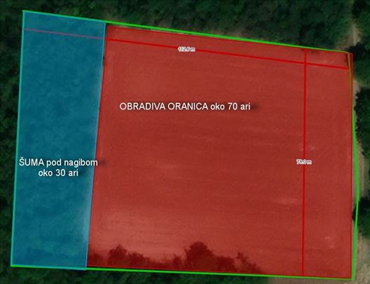 Slankamenački Vinogradi – Janda 10 243 m2