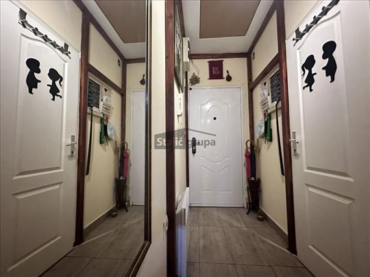 Tesla, dvoiposoban, uknjižen stan