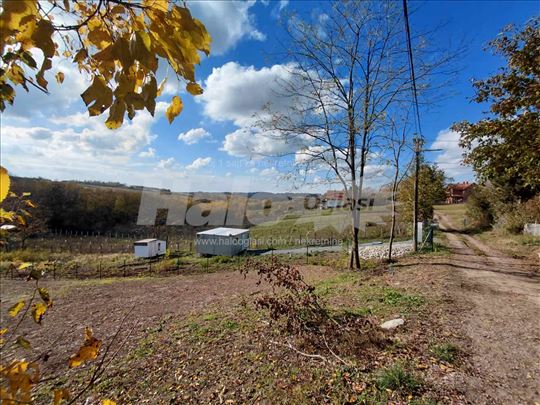 Barajevo Lisovic 20ari