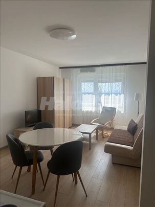 Garsonjera za izdavanje Trkalište 30m2 CG 