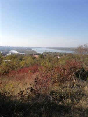 Hitna prodaja, Orašje Višnjica , plac